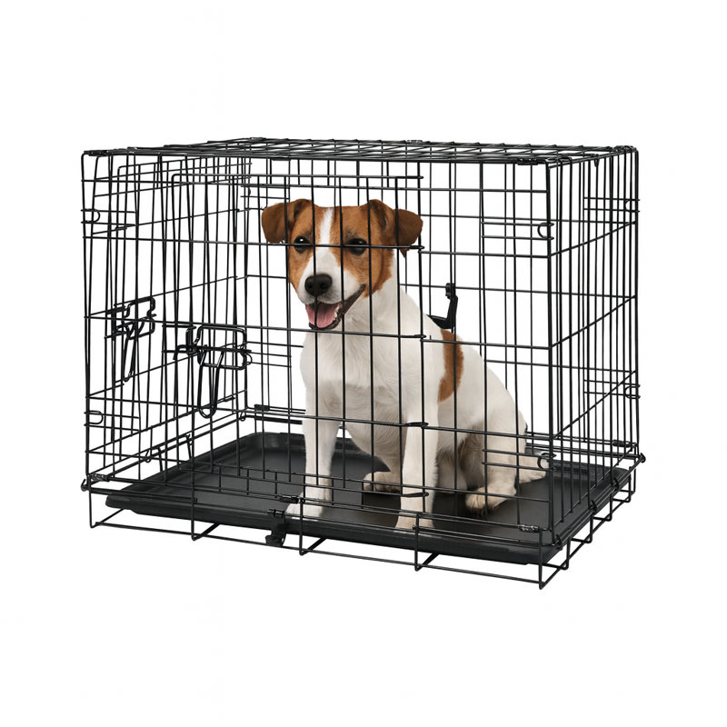 Metal Collapsible Pet Crate with 1 Door, Small