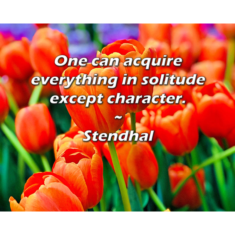 Fleur De Lis Living Gallery Wrapped Canvas By Stendhal: "One can acquire everything in solitude except char