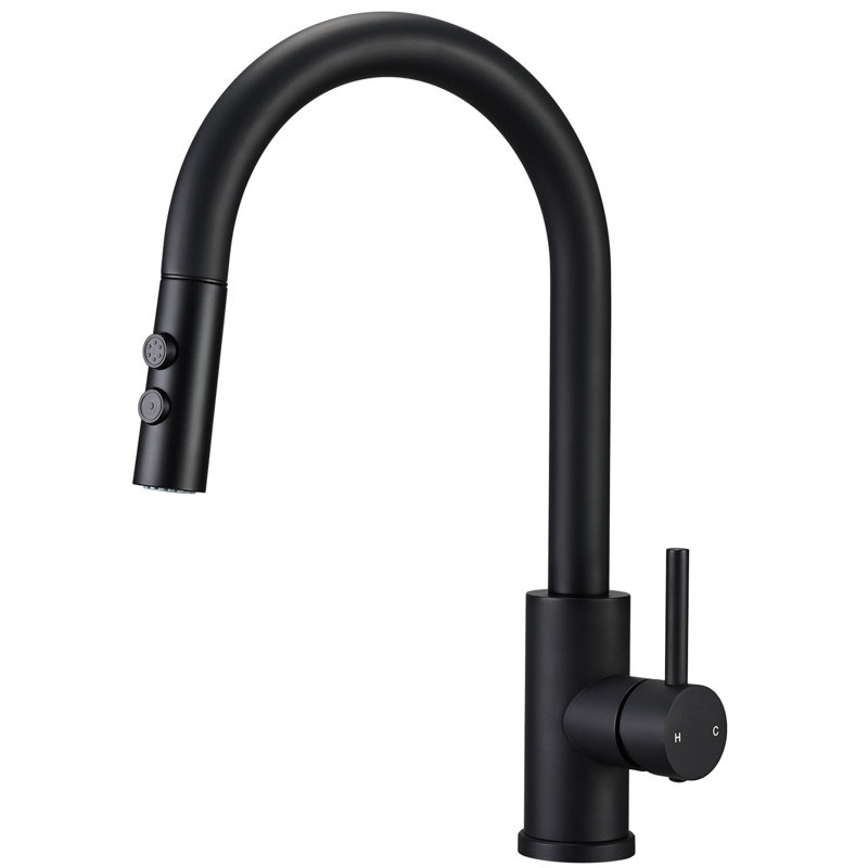 Metro Lane Daury Kitchen Faucet, Matte Black