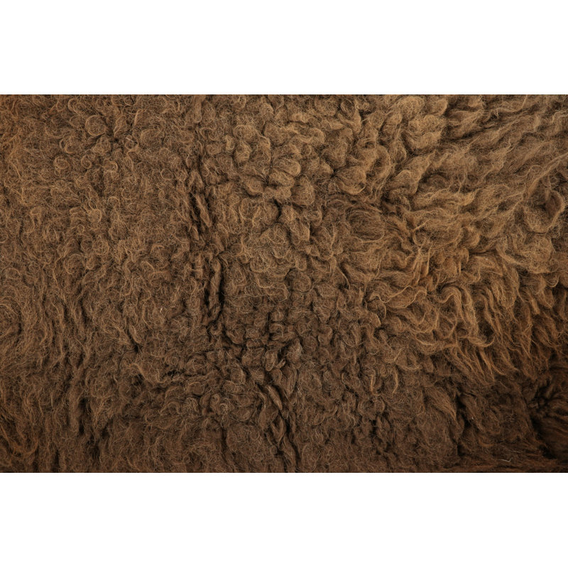 Rug & Kilim’S American Bison Hide Fur Rug In Chocolate Brown Tones