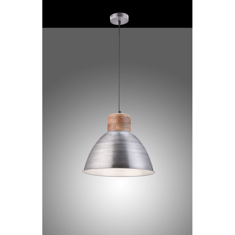 Mamie 1 - Light Iron Dome Pendant