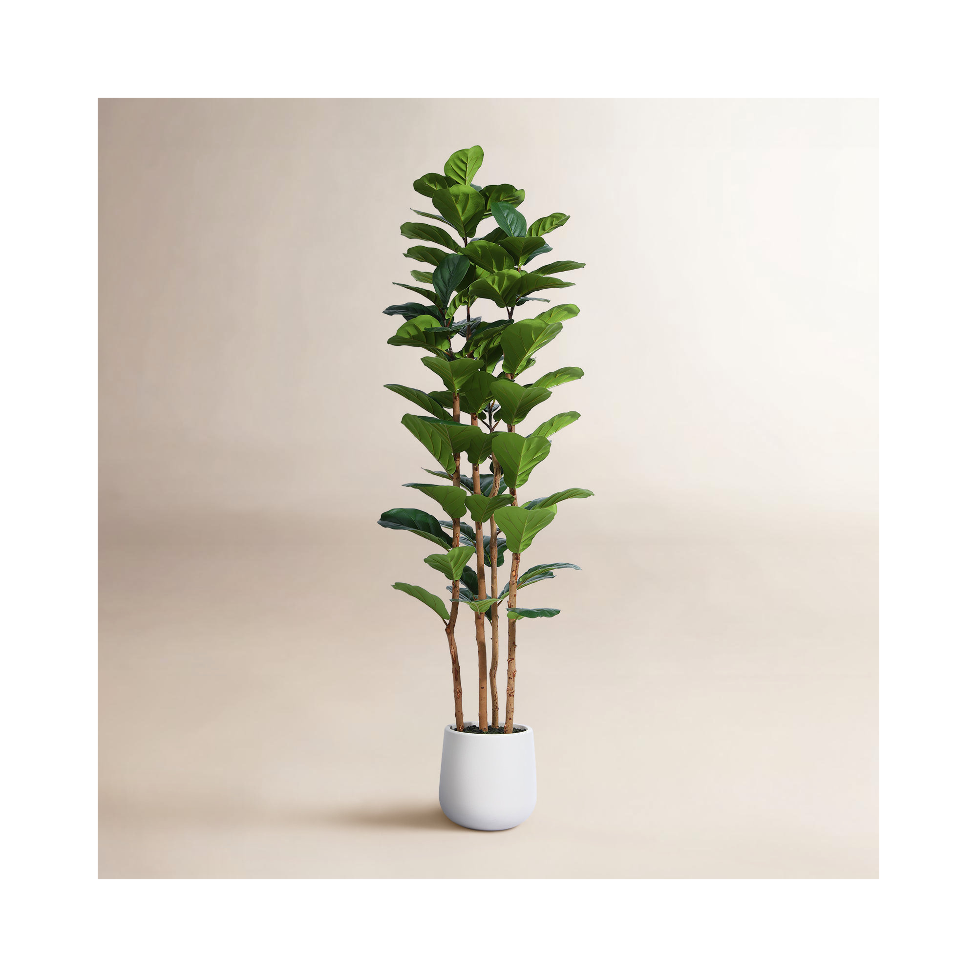 Adarna Artificial Fiddle Leaf Fig Tree with Realistic Leaves and Natural Trunk, Potted Tree, 72" H x 24" W x 24" D