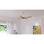 Whisper 52" 5-ABS Blade Modern Classic Ceiling Fan With LED Three-Tone Light And Ultra-Quiet Remote Control Adjustment-2108291923