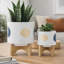 Jardinière S / 2 5/8 po Funky