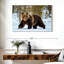 Adulte grizzly-107671334