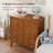 Farmhouse 2-Door Storage Cabinet