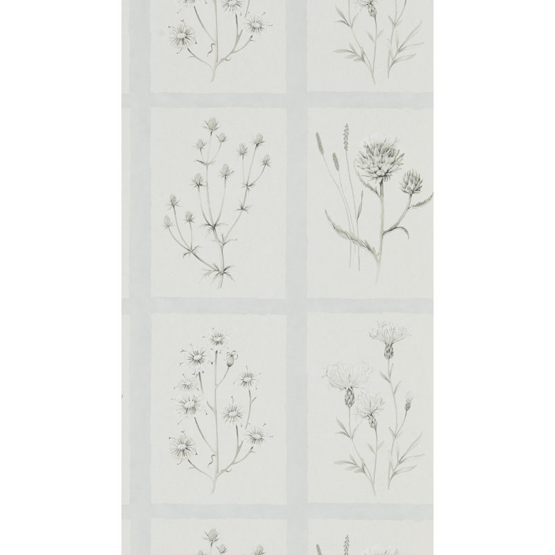 Thistles 10.05m x 52cm Matte Wallpaper Roll, Grey