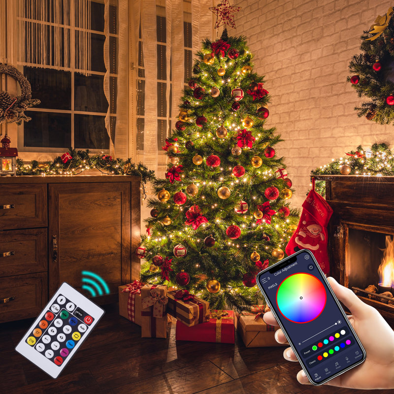 Shareva 1 - Bulb 787'' Plug-in LED String Light