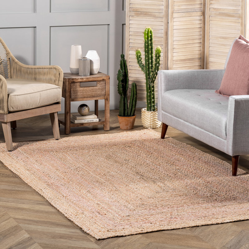 Delasandro Hand Braided Jute/Cotton Beige/Brown Area Rug, Rectangle 3' x 5'