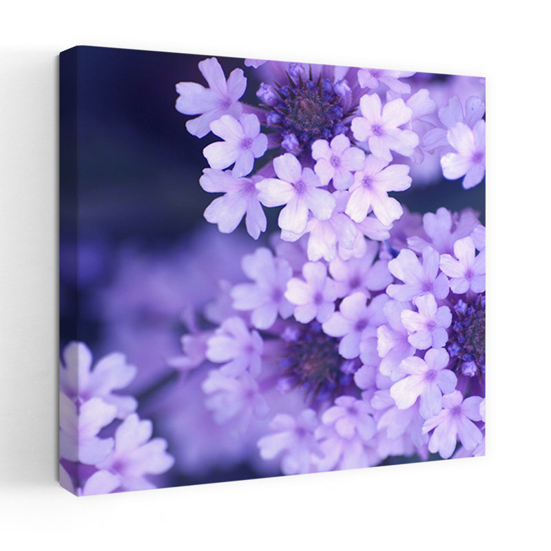 Fleurs mauves, art floral contemporain, H 32 po x l 32 po