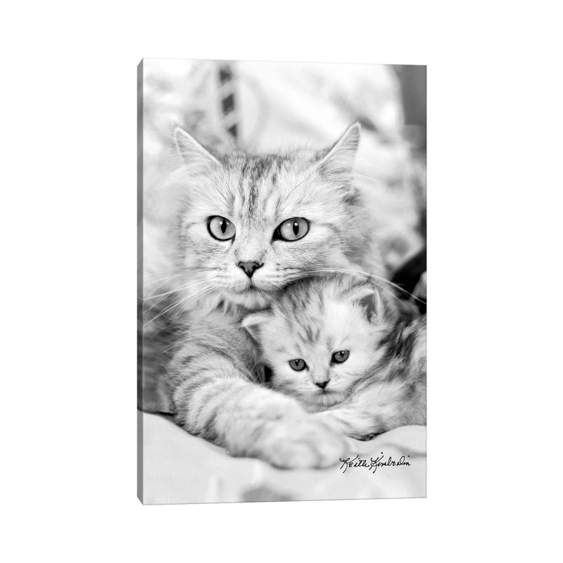 Twinkie & Kit by Keith Kimberlin - Print on Canvas, 30.48 cm H x 45.72 cm W, Wrapped Canvas