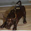 Petite statue de taureau en bronze Wall Street - sculpture emblématique Briallen, L 12 po x l 6 po x H 7,5 po