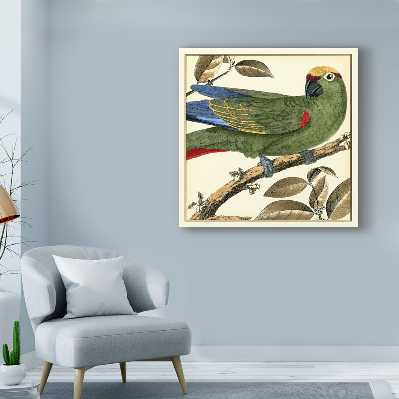 « tropical perroquet i », reproduction d’impression sur toile tendue, H 14 po x l 14 po x P 2 po