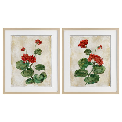 "Floral Journal Red Flower", ensemble de 2 reproductions d'art encadrées sous verre