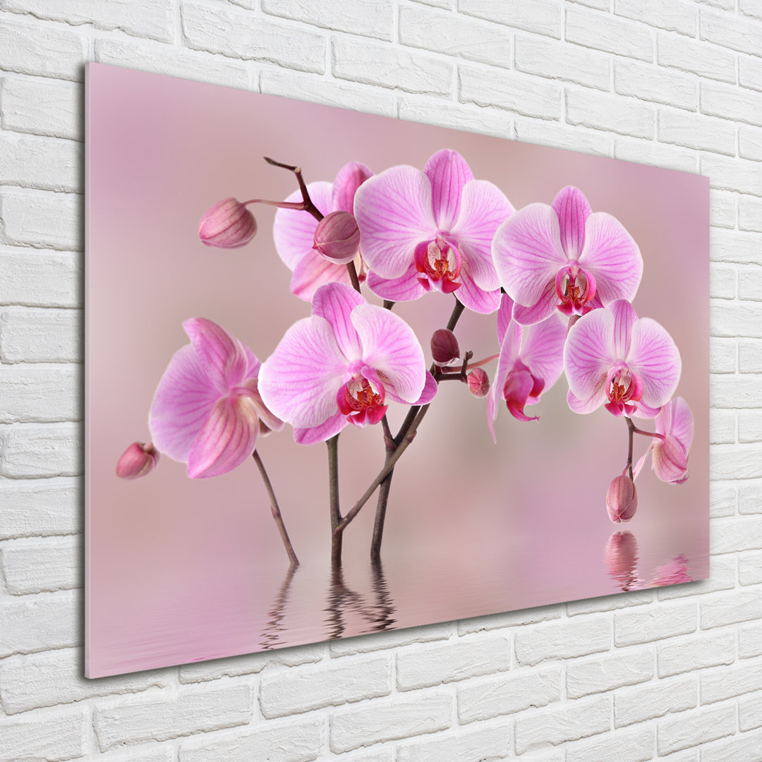 Glasbild Pink Orchid