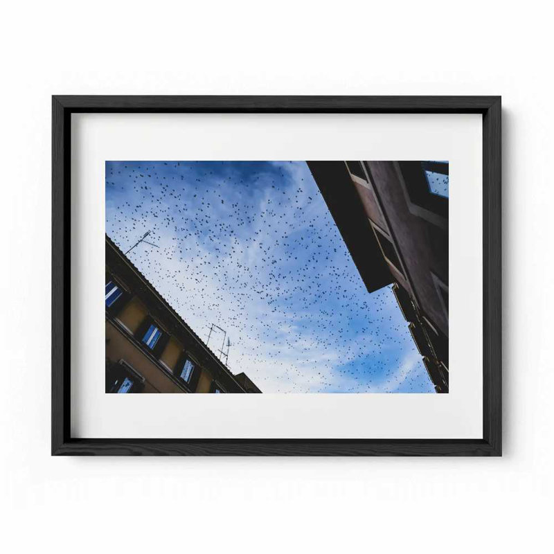 Before Sunset Print by Joseph Regan, 14" H x 16" W x 0.75" D, Black
