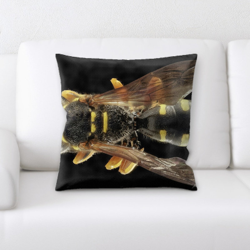 Coussin wasp