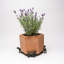 Seraphine Weather Resistant Planter Feet