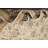 One-of-a-Kind 9'10" X 14'4" Wool Area Rug in Ivory
