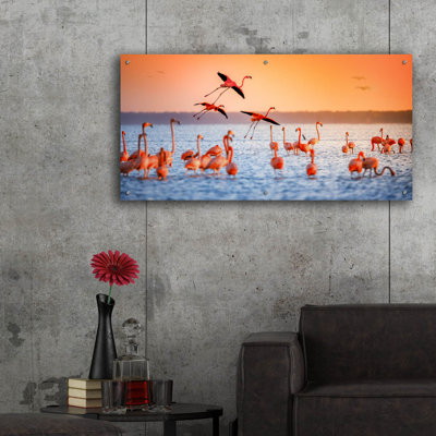 " Flamingo Flight " by Jonathan Ross