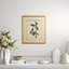 Catesby Bird And Botanical IV Print
