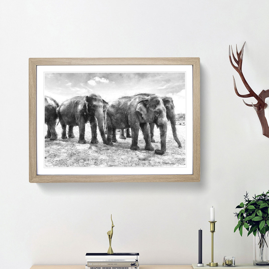 Elephants in Sri Lanka - Framed Print