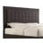 Londono Upholstered Platform Bed-244056405-244056407