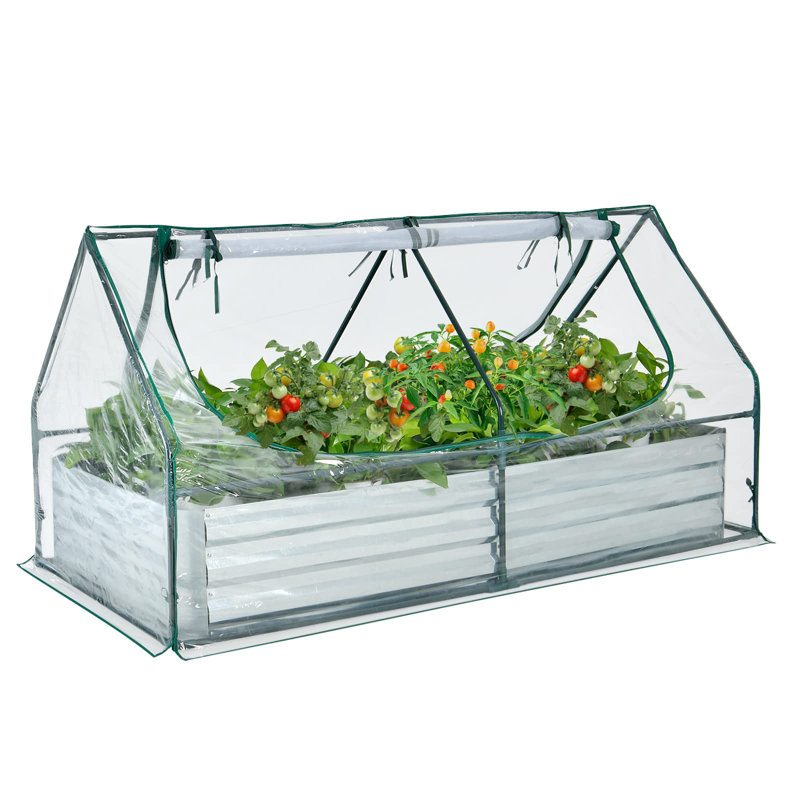 Anne-Louise 6 Ft W x 3 Ft D Mini Greenhouse