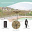 Parasol de marché solaire à DEL 10 x 6,5 po Wilfredo-433803002