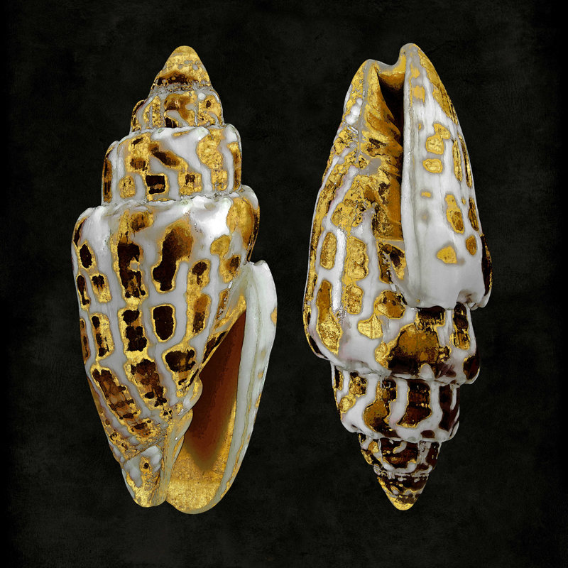 Golden Ocean Gems I, H 12 po x l 12 po