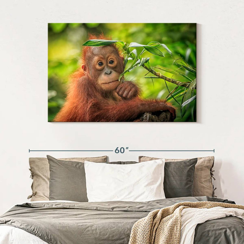 Leaf Munching Orangutan, 32" H x 48" W