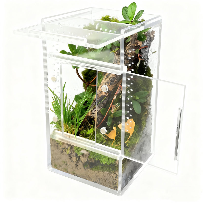 Terrarium pour petits insectes 3 x 3 x 6 pouces