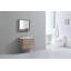 Trieu 29.75'' Single Bathroom Vanity with Acrylic Top-23265333