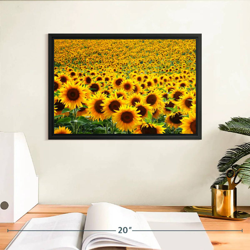 Champ de tournesols sans fin Alvord, H 9 po x l 13 po