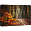 Automne, automne, forêt, arbre, nature, paysage, grandes impressions sur toile encadrées-93628934-119598462-93628931