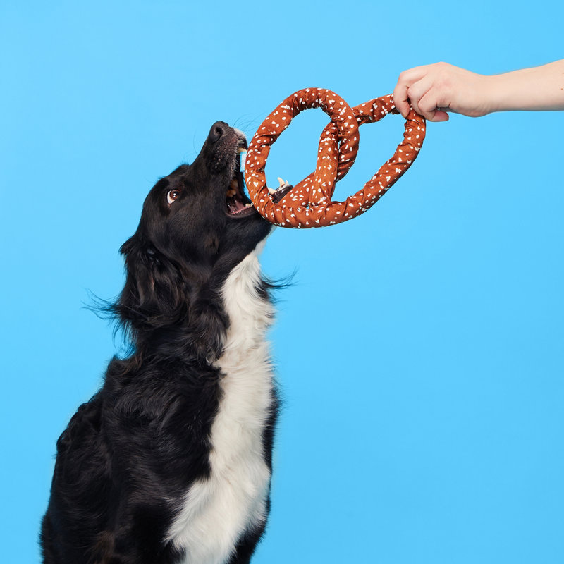 Best Of Bark Box Accessories