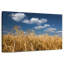 Harnek Rye Field-108842106