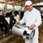 Conteneur de conservation des aliments Daniel-James en acier inoxydable de 30 L, seau à lait-1414009588
