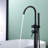 2 Handle Freestanding Tub Filler with Diverter-54122532