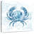 Brampt Blue Marble Coast Crab-109357746