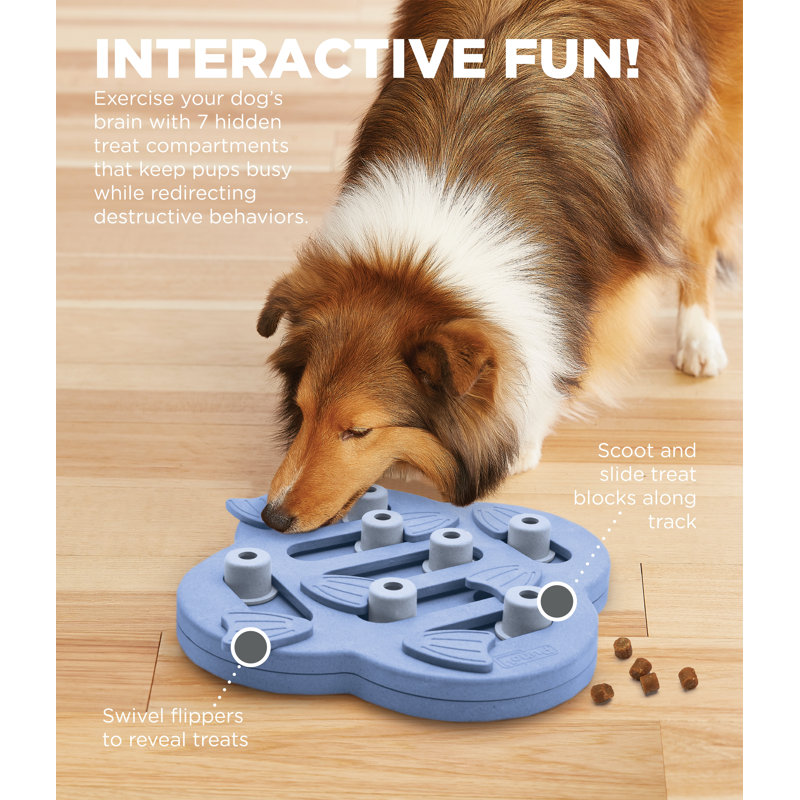 Blue Composite Interactive Dog Treat Puzzle Dispenser
