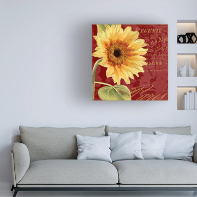 Bolog Sasha Ete Iv Canvas Art
