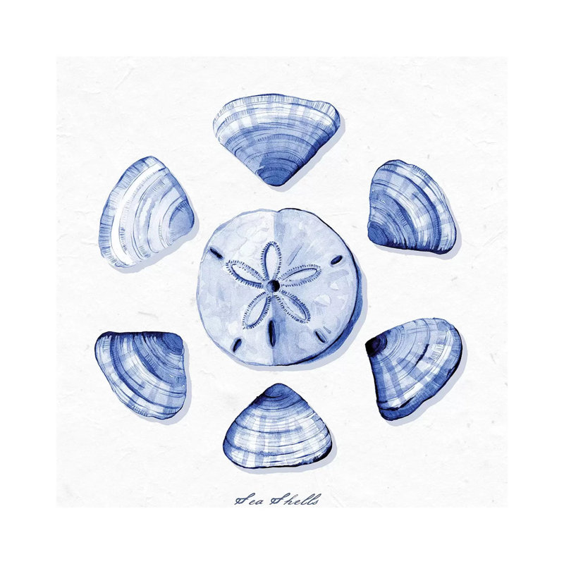 Shell Collection VII by Stephanie Ryan - Painting on Canvas, Wrapped Canvas, 66.04cm H x 66.04cm W x 1.91cm D
