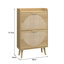 Anelise 2 Door Rattan Shoe Storage Cabinet