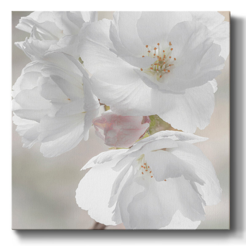 Fleurs tendres - Toile tendue avec châssis, H 8 po x l 8 po x P 1,5 po