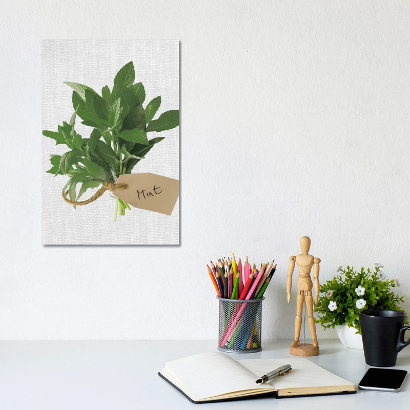 Mint by Assaf Frank - Wrapped Canvas Print, 20.32 cm H x 30.48 cm W x 1.91 cm D