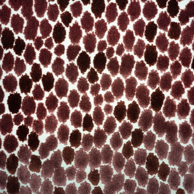 Jasmine Fabric