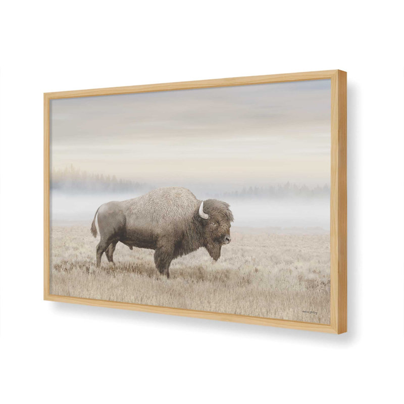 «Morning Sunrise Bison» par Amber Sterling, reproduction d'art, L 32 po x H 24 po, Tanné, Impression encadrée