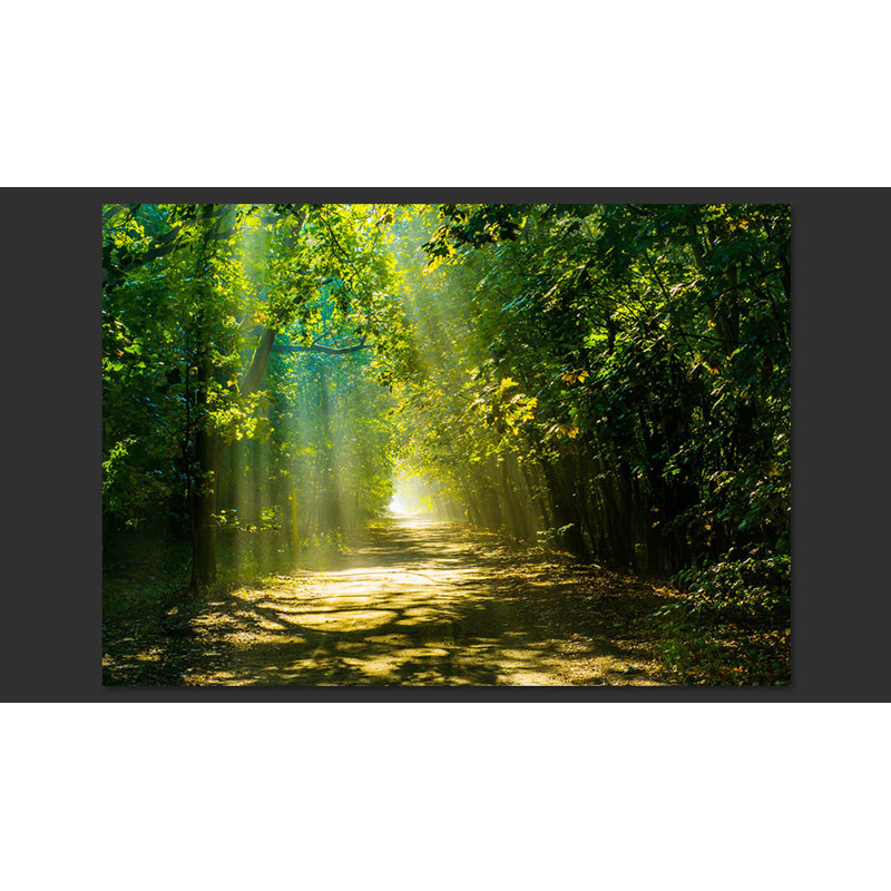 Road in Sunlight Wallpaper, 300 cm x 210 cm