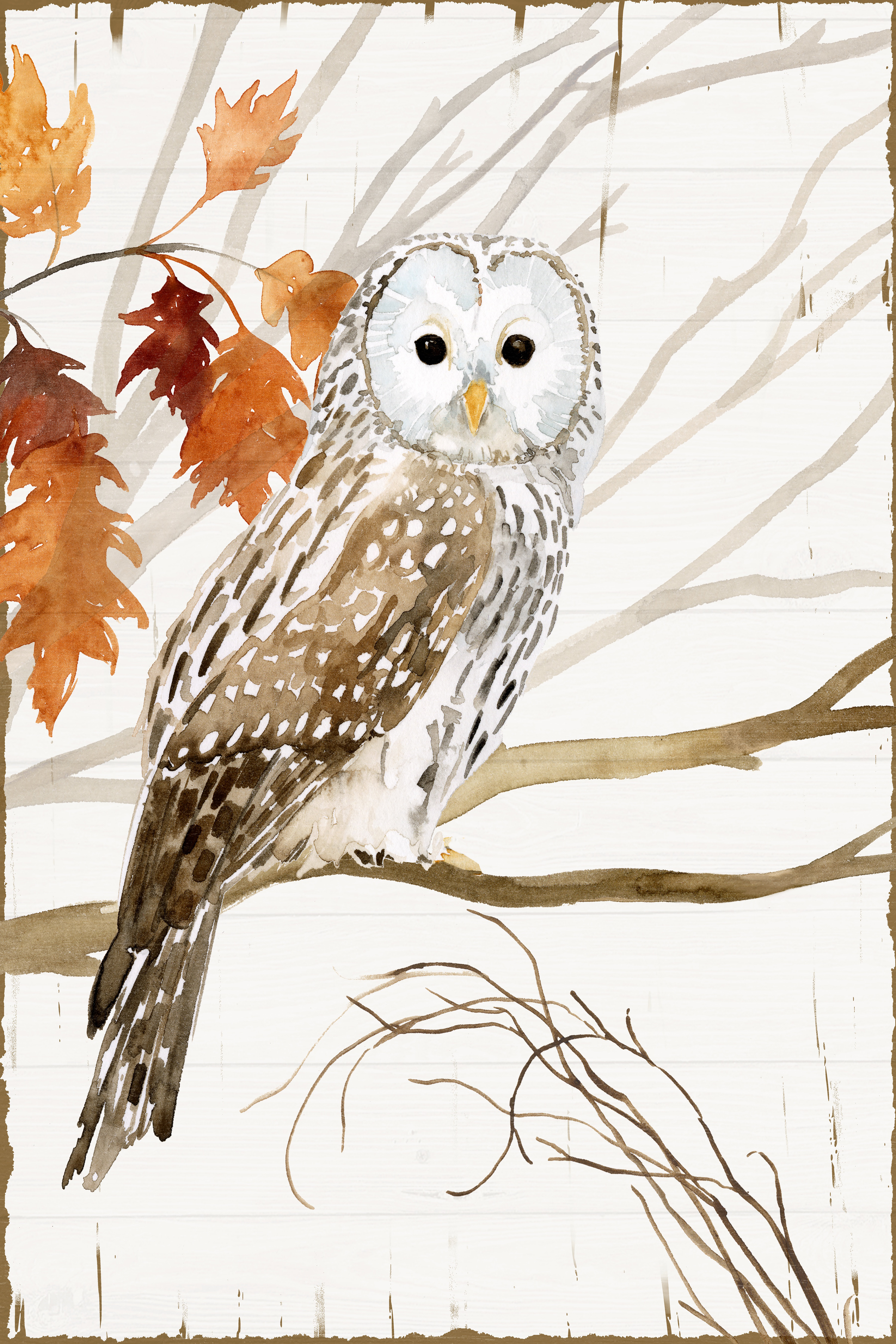 Buy: Let it Snow Winter Owl Winter Art Bird Lisa Audit